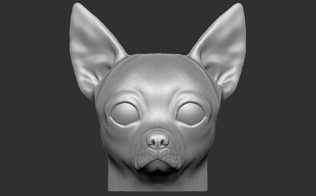 Chihuahua head for 3D printing 3D print model_4