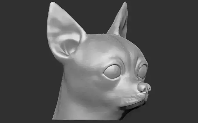 Chihuahua head for 3D printing 3D print model