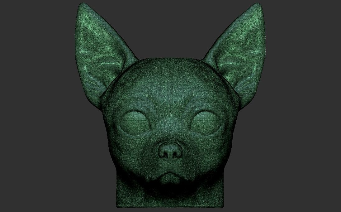Chihuahua head for 3D printing 3D print model_24