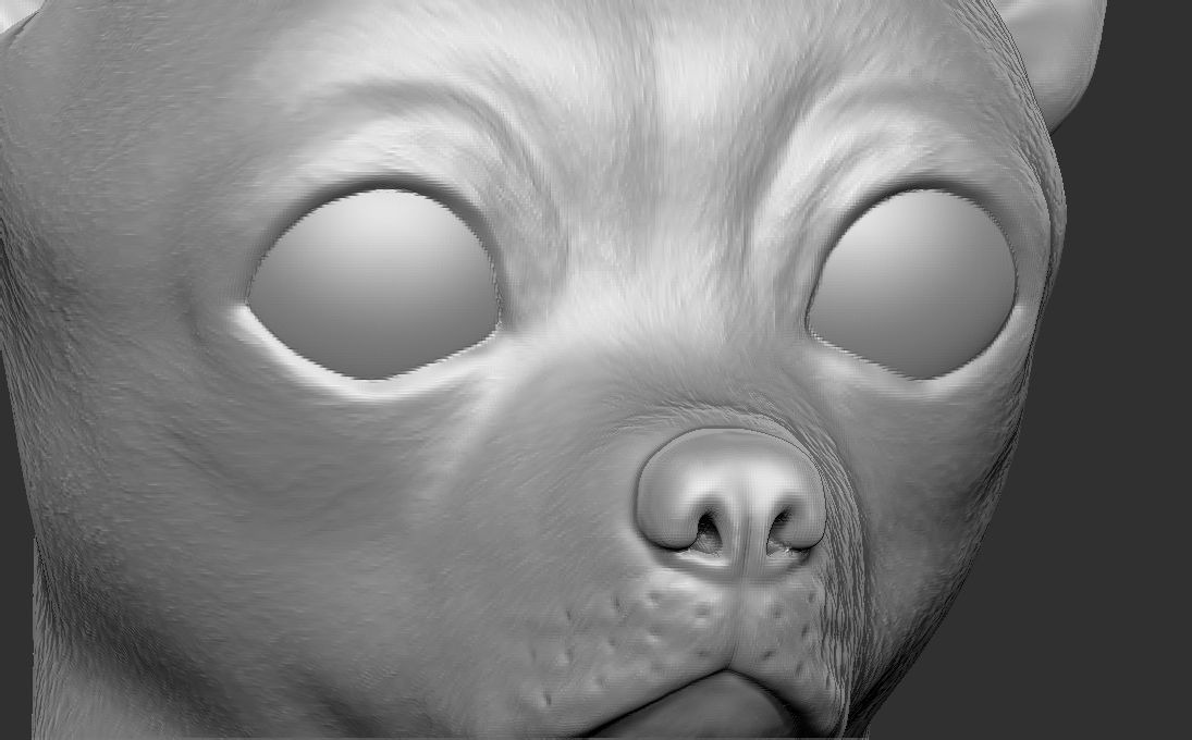 Chihuahua head for 3D printing 3D print model_17