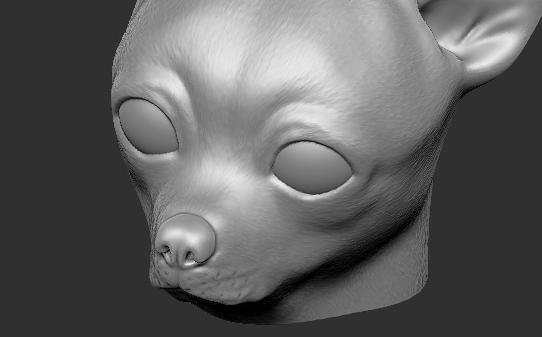 Chihuahua head for 3D printing 3D print model_20