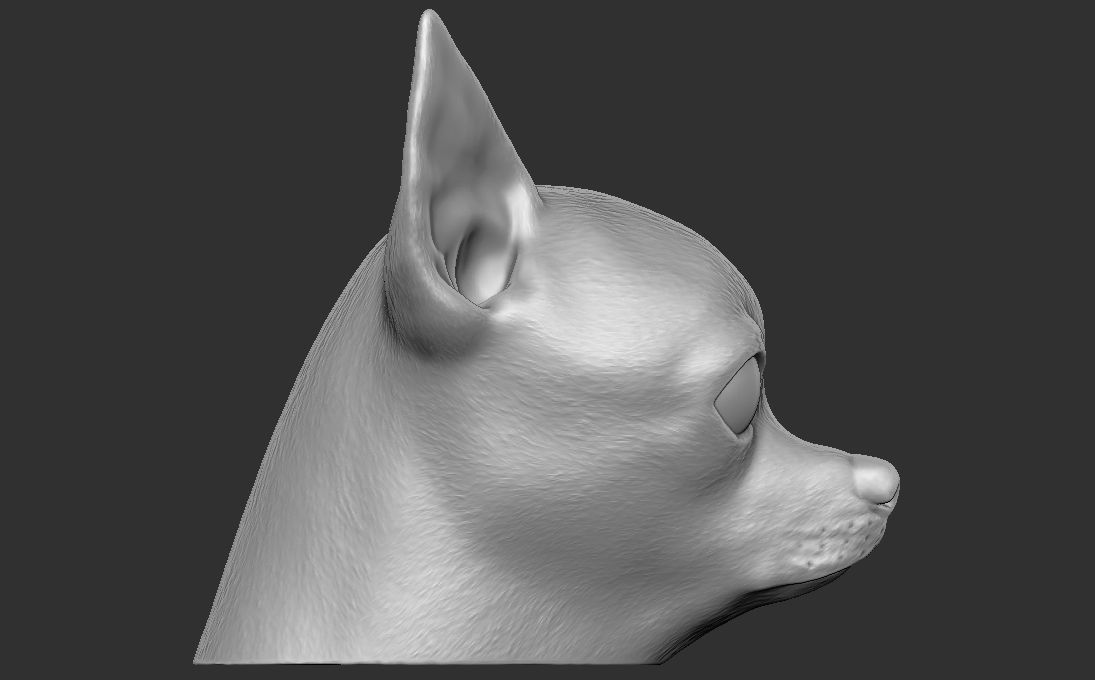 Chihuahua head for 3D printing 3D print model_15