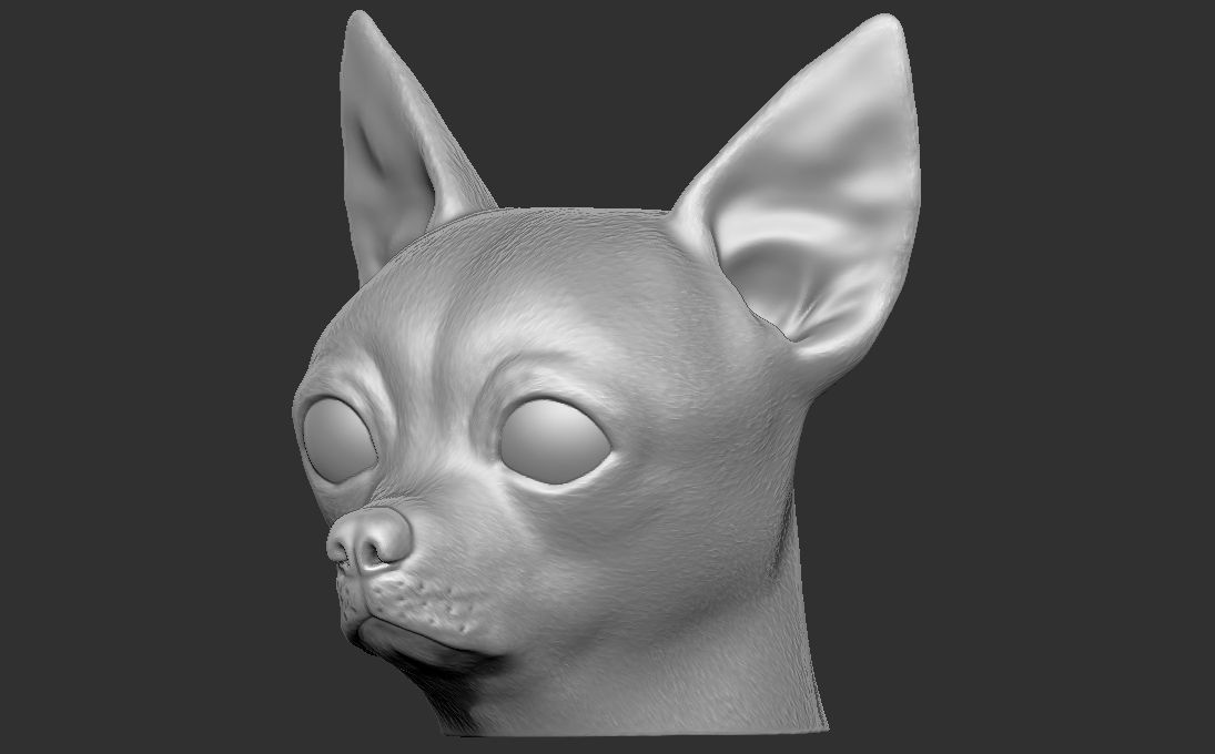 Chihuahua head for 3D printing 3D print model_6