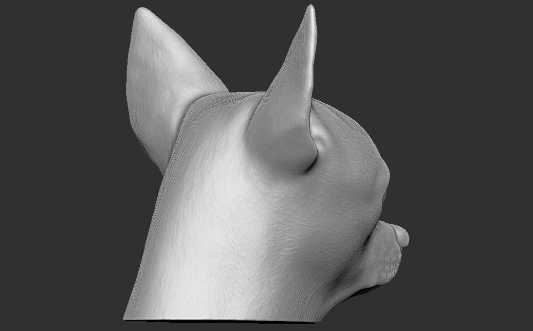Chihuahua head for 3D printing 3D print model_13