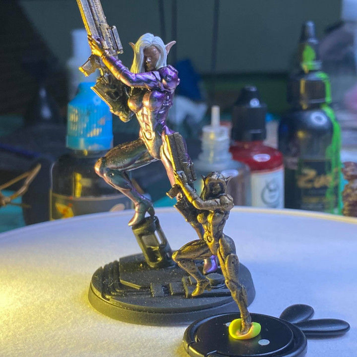 BLACK SORROW FEMALE ELF MERCENARY 3D print model_2