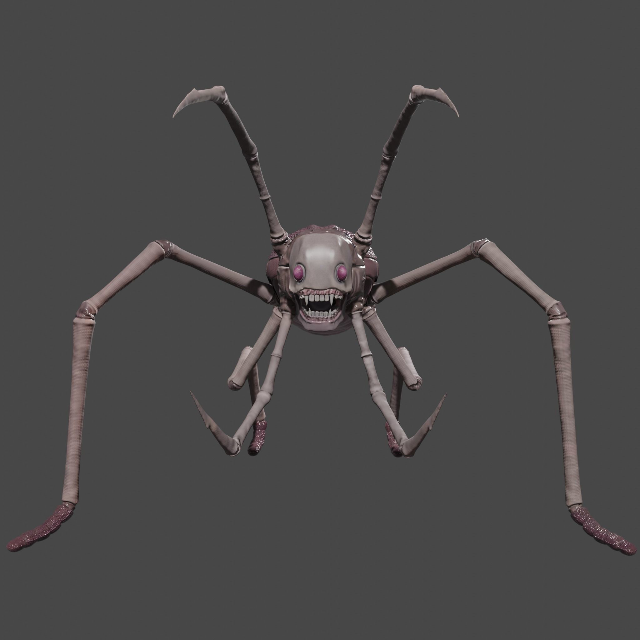  Arthropoda creature Low-poly 3D model_1