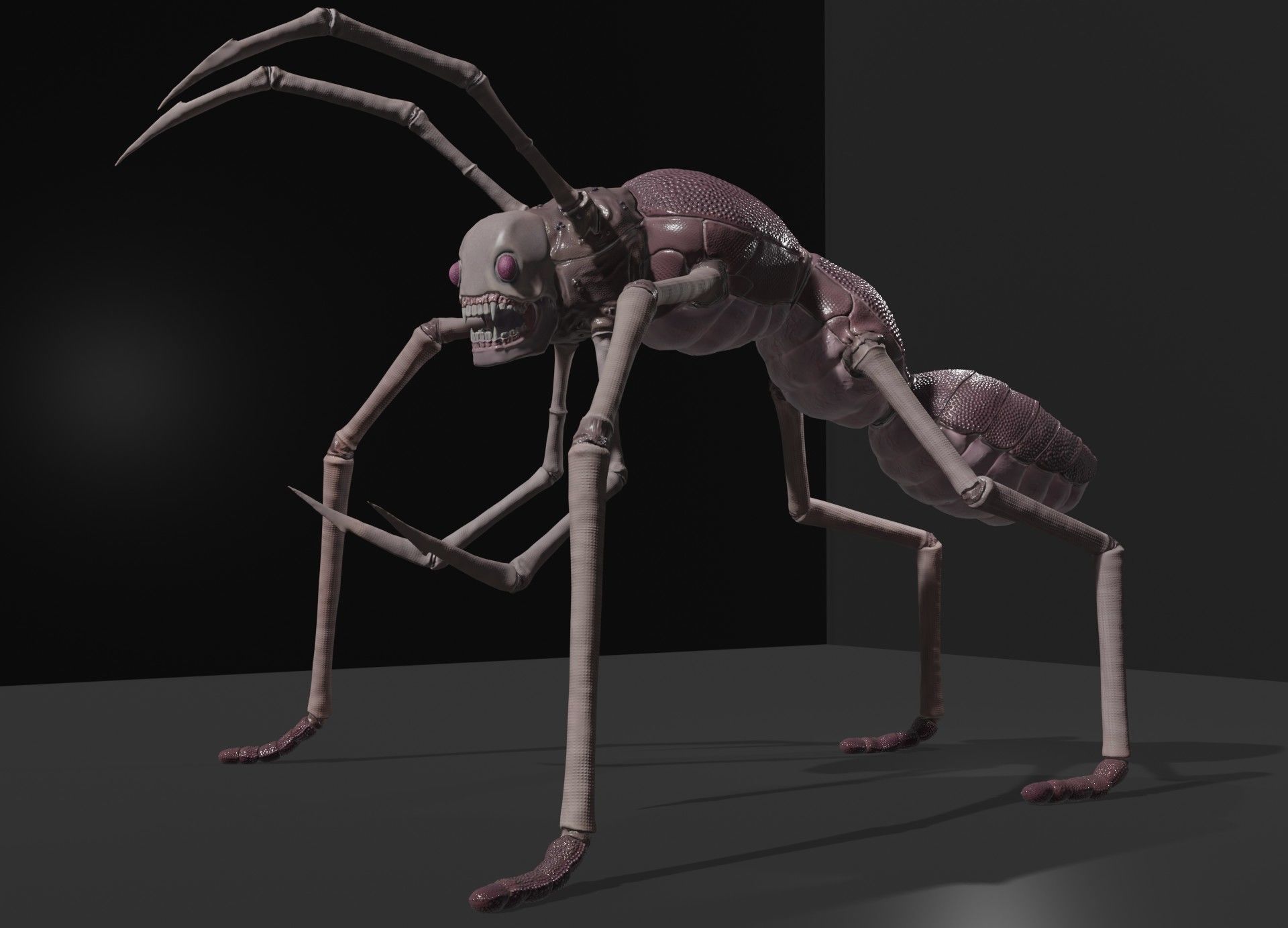  Arthropoda creature Low-poly 3D model_7