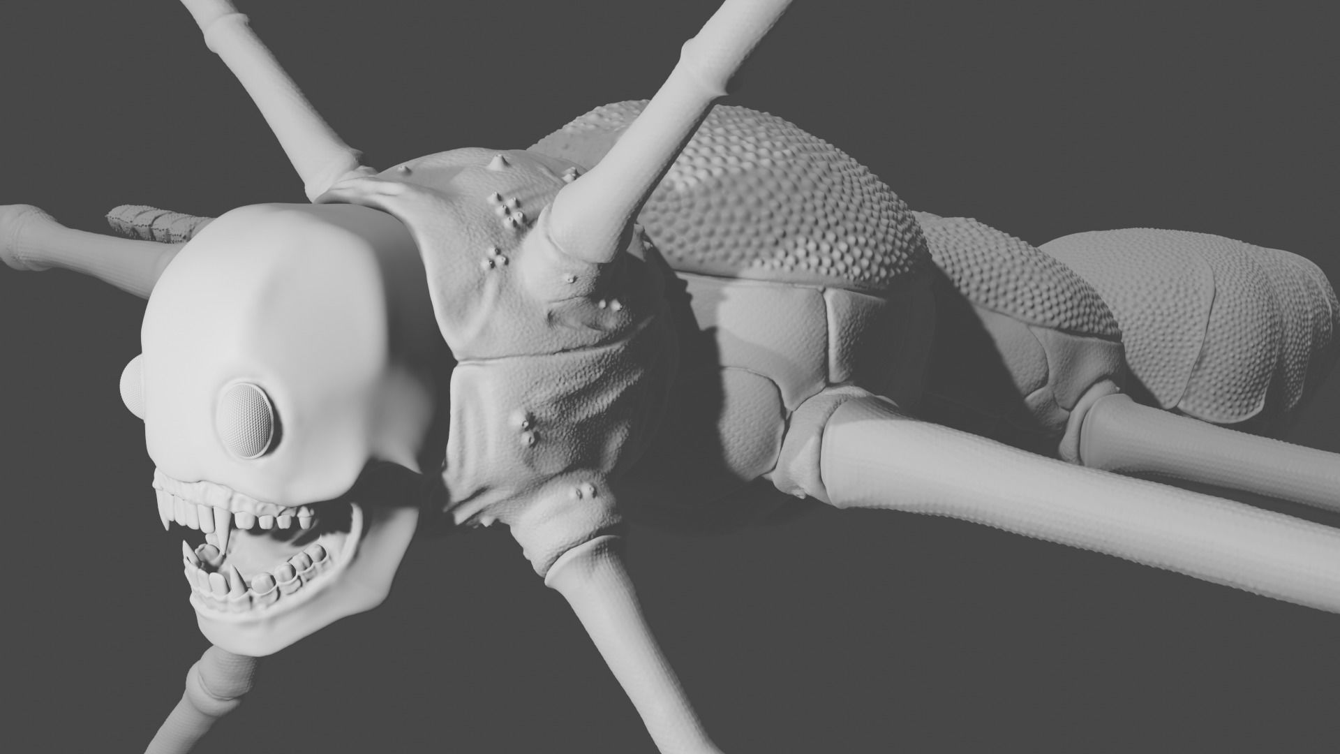  Arthropoda creature Low-poly 3D model_10