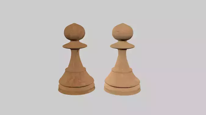 Chess two wooden pieces Texture