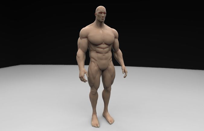 Human Body 3D print model