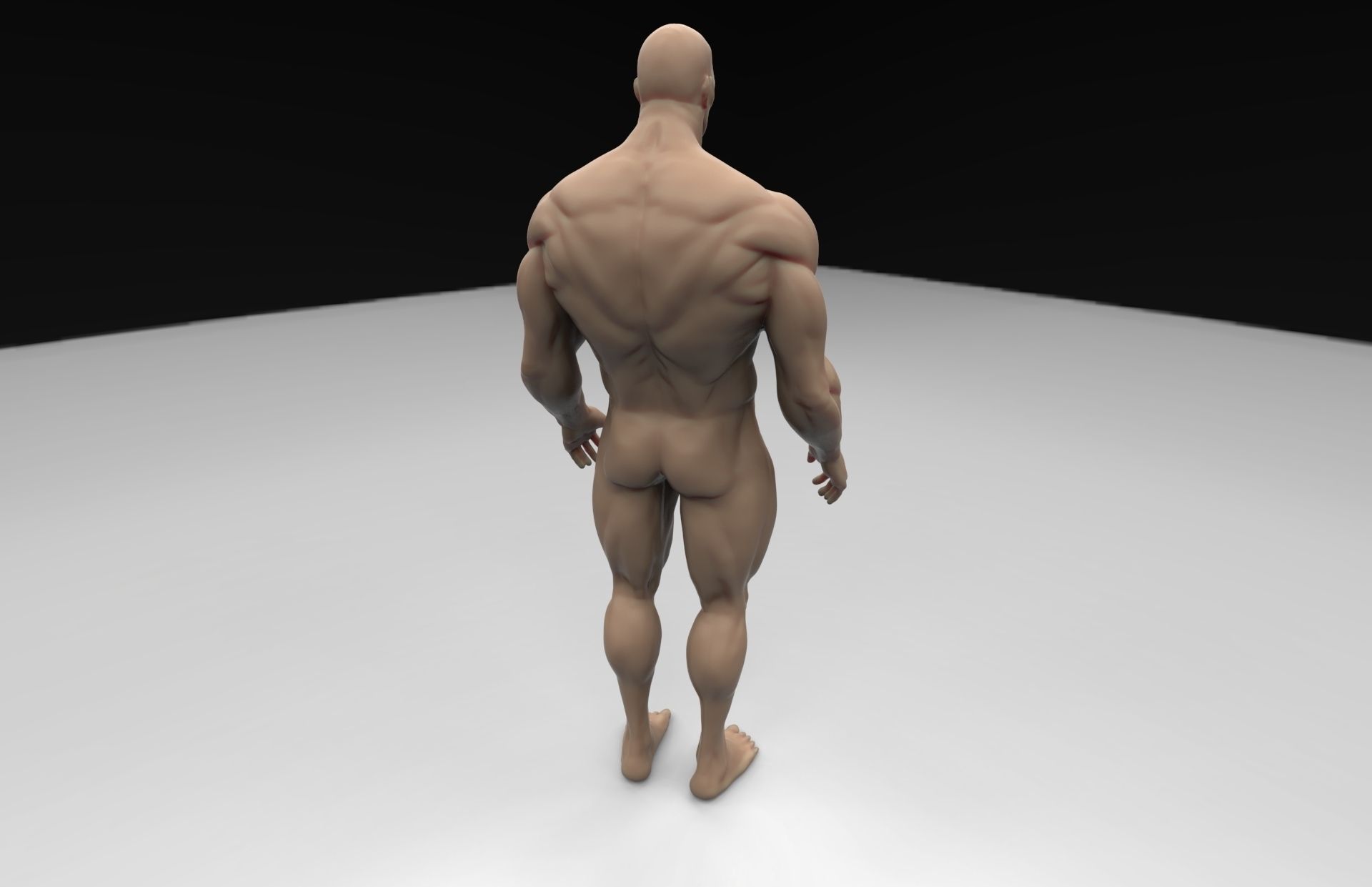Human Body 3D print model_3