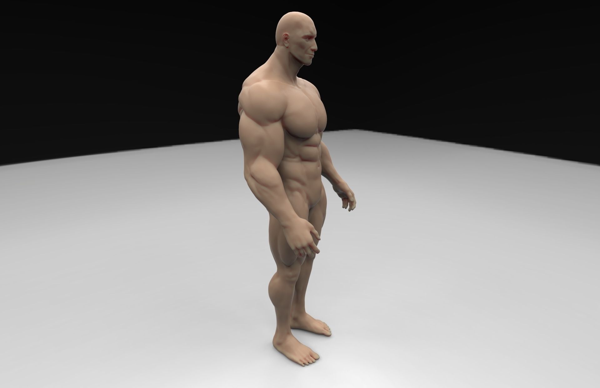 Human Body 3D print model_1