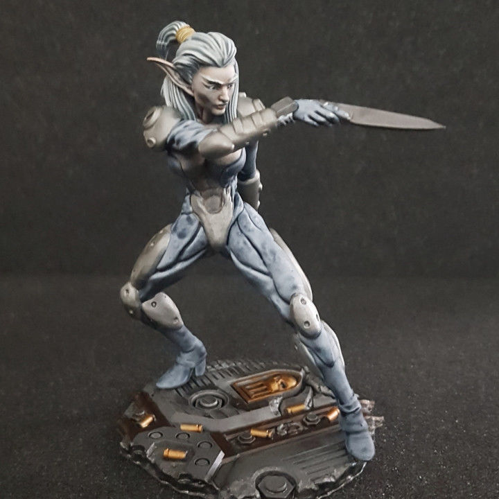  BLUE AGONY FEMALE ELF ROGUE 3D print model_3