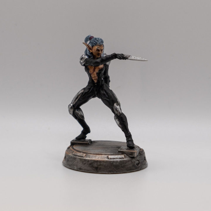  BLUE AGONY FEMALE ELF ROGUE 3D print model_5