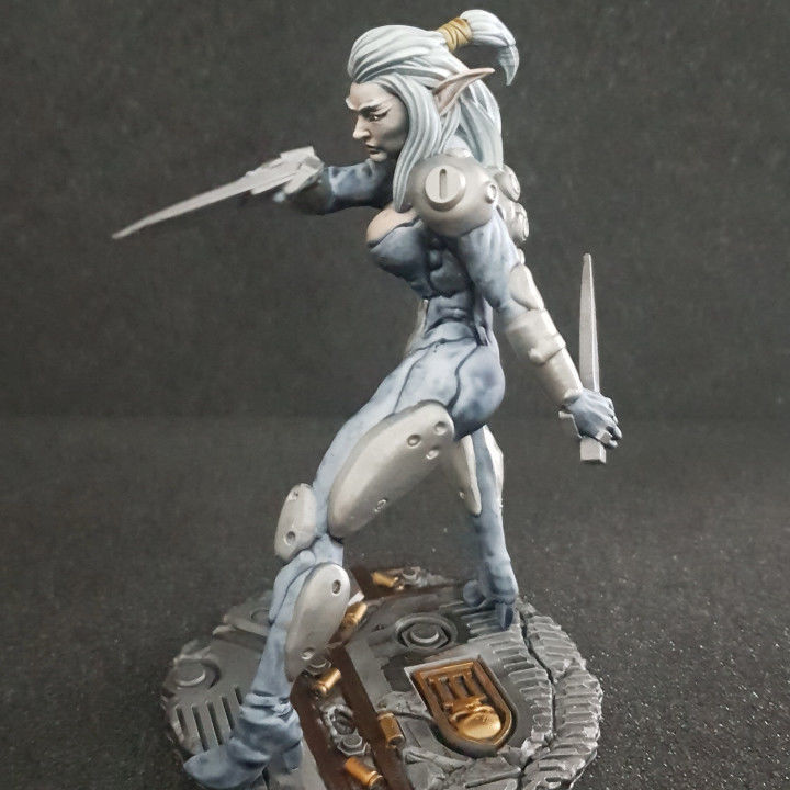  BLUE AGONY FEMALE ELF ROGUE 3D print model_4