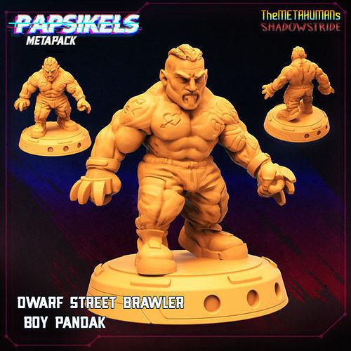 DWARF STREET BRAWLER BOY PANDAK 3D print model