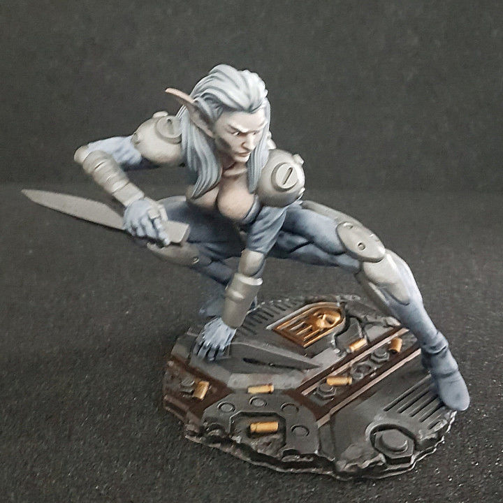 PINK SADNESS FEMALE ELF ASSASSIN 3D print model_3