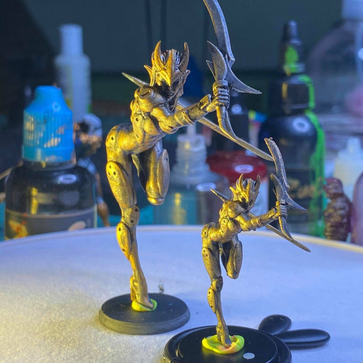 RED PAIN CHROMATIC ELF WARRIOR 3D print model_3