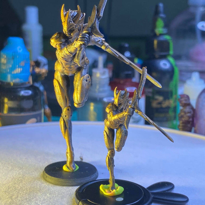 RED PAIN CHROMATIC ELF WARRIOR 3D print model_2