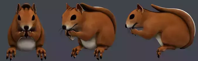 Squirrel Free 3D model