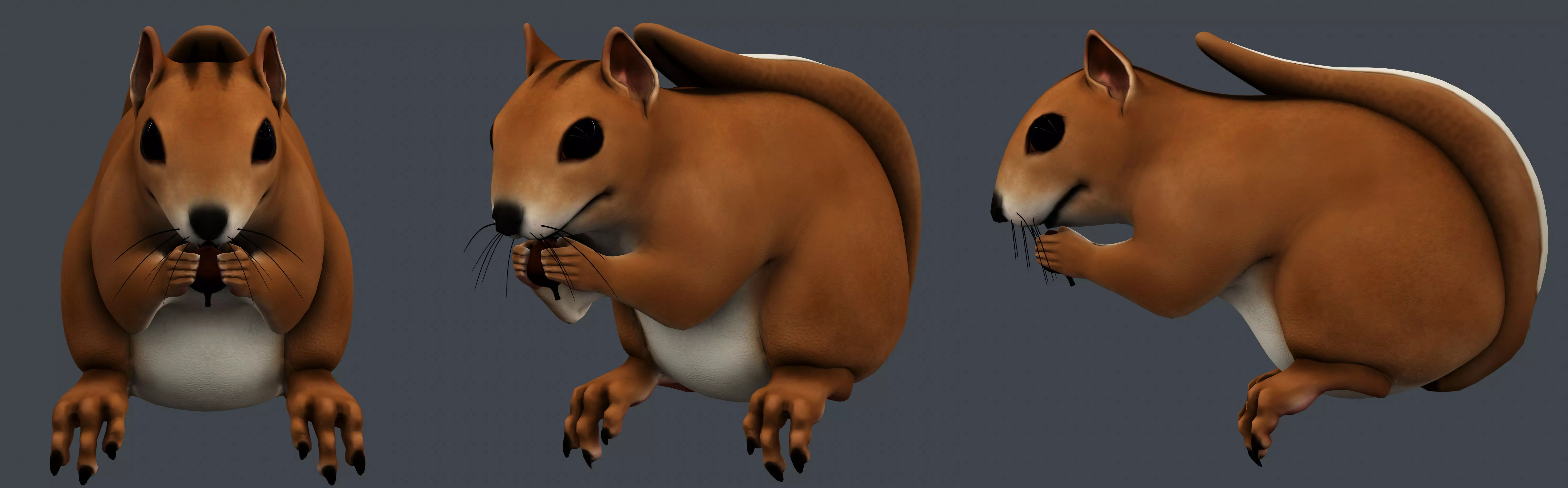 Squirrel Free 3D model