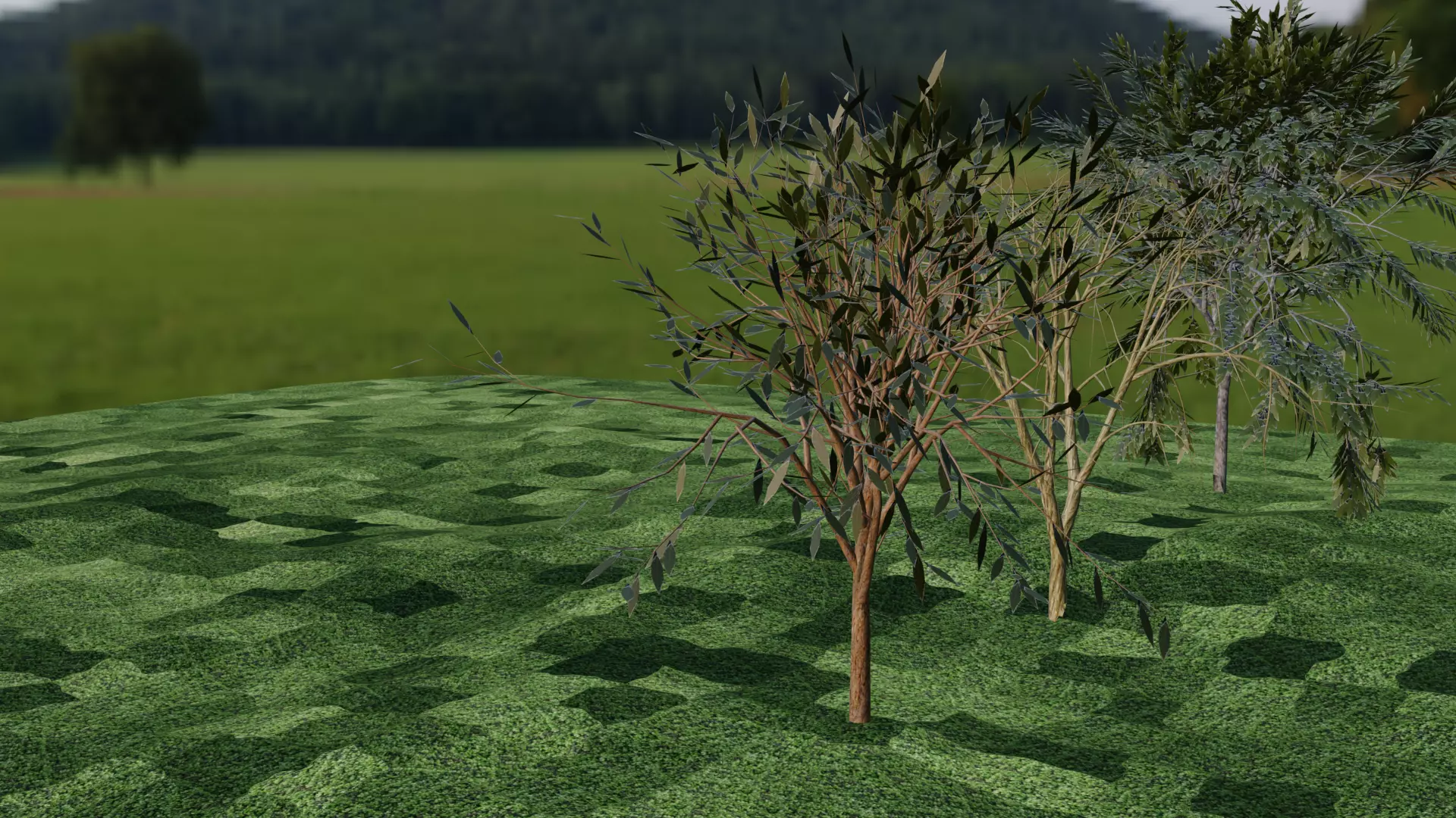 three tree models Free low-poly 3D model