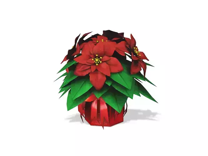 Poinsettia Gift Plant