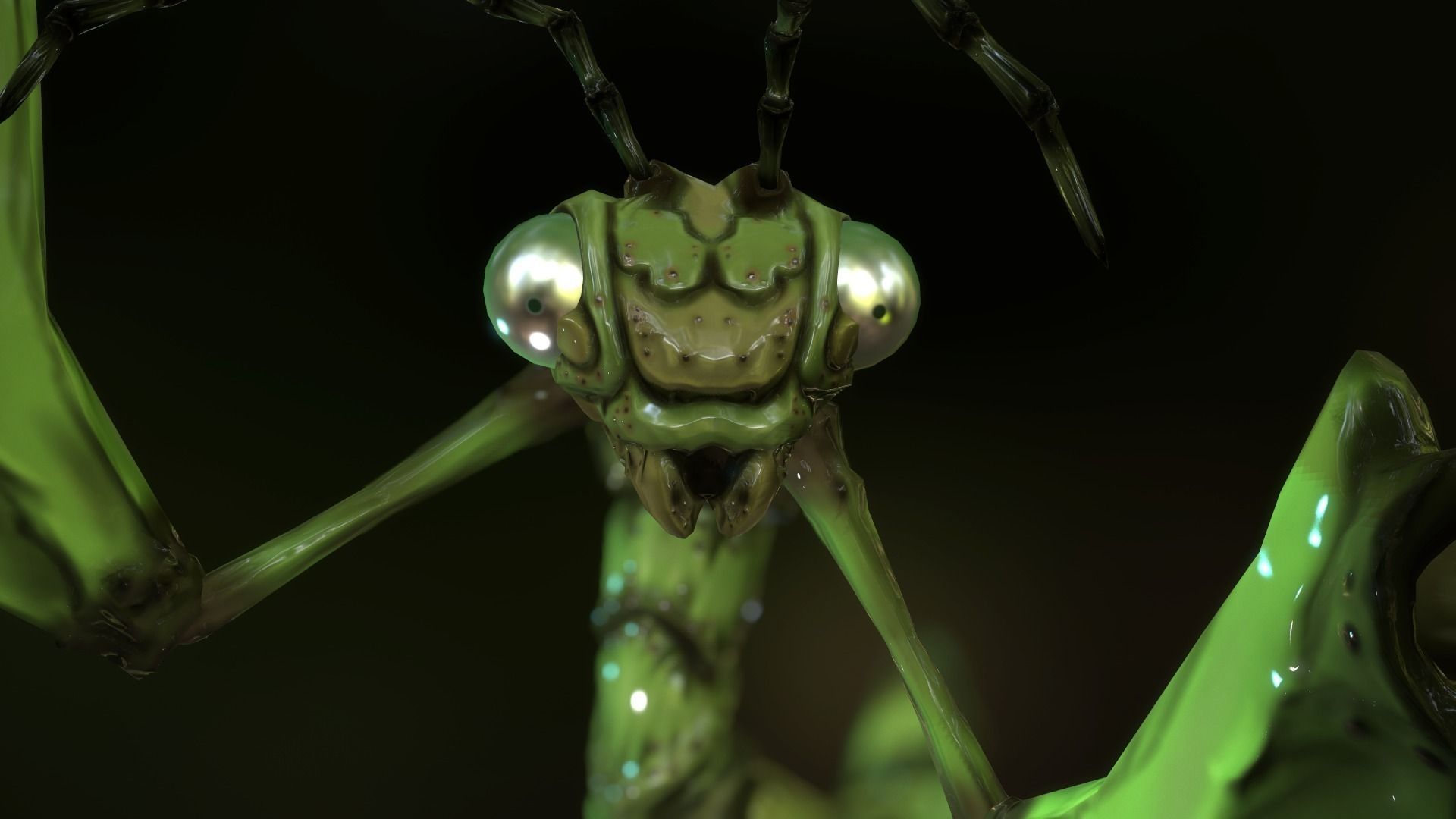 Praying Mantis Low-poly 3D model_5
