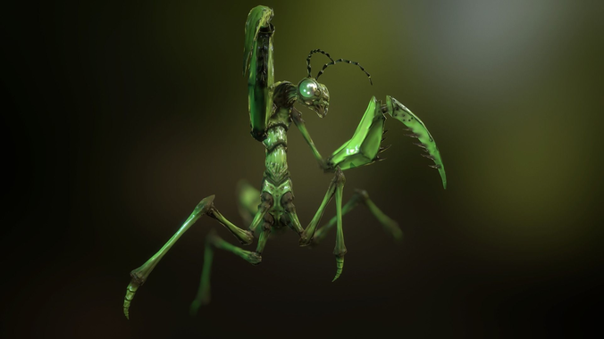 Praying Mantis Low-poly 3D model