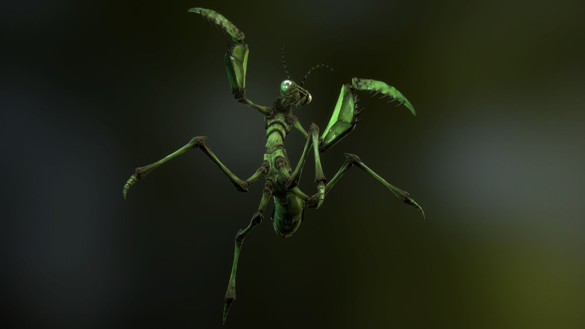 Praying Mantis Low-poly 3D model_1
