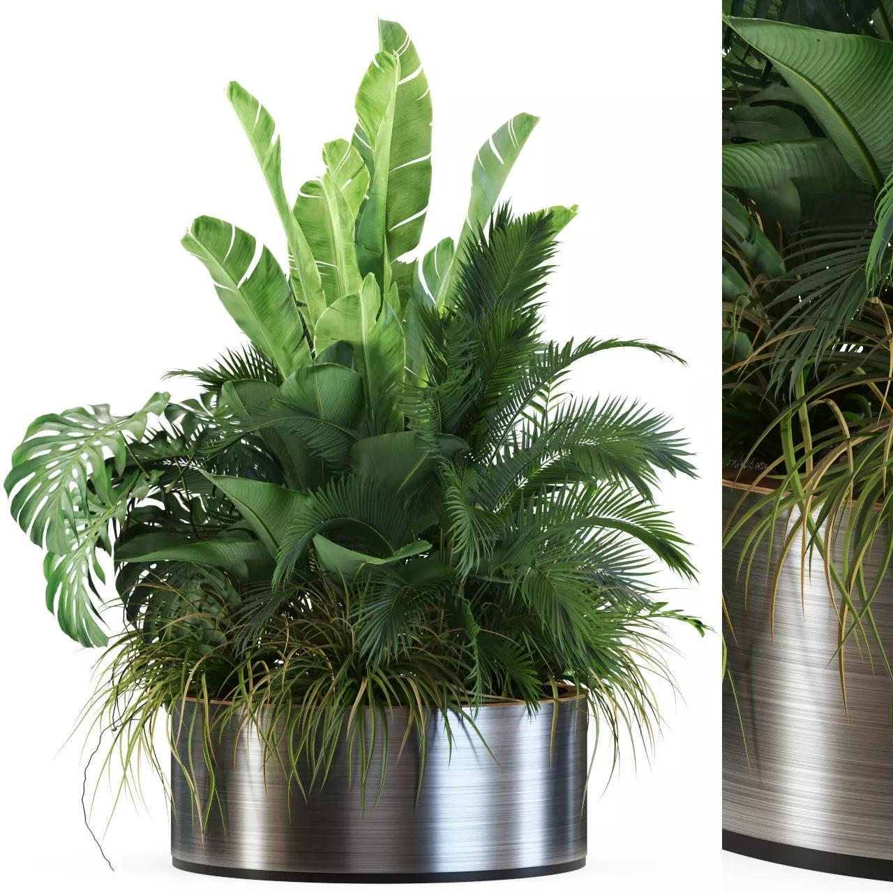 Plants collection 546 3D model_0