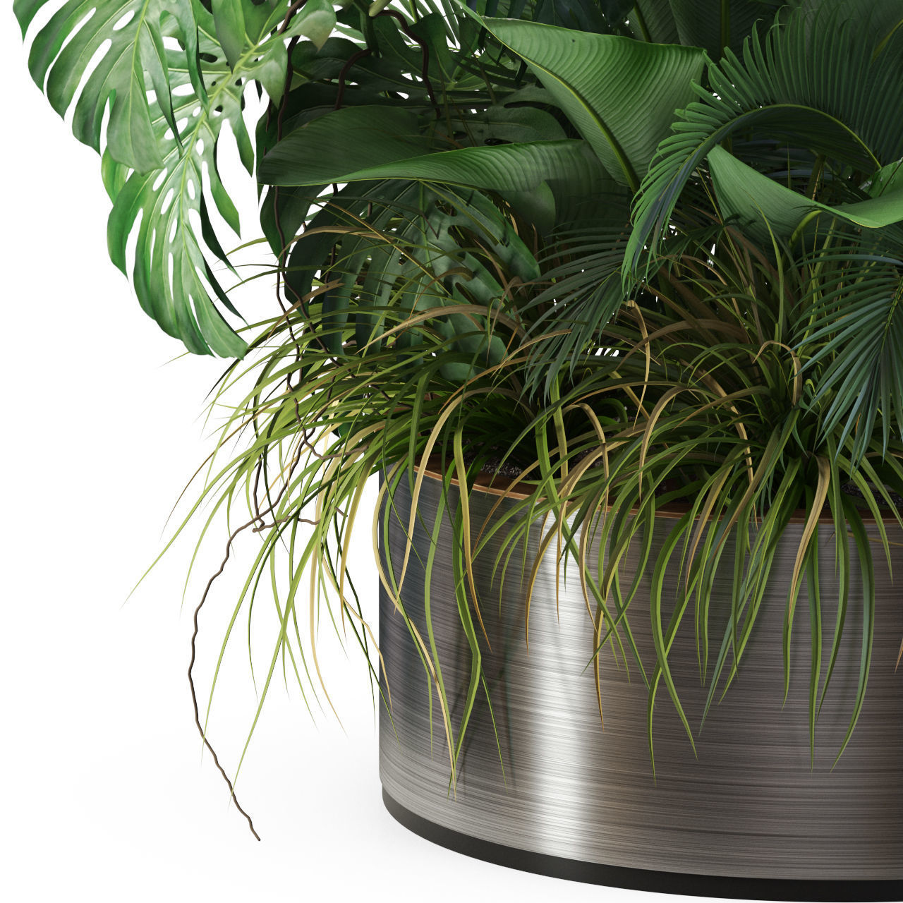 Plants collection 546 3D model_2