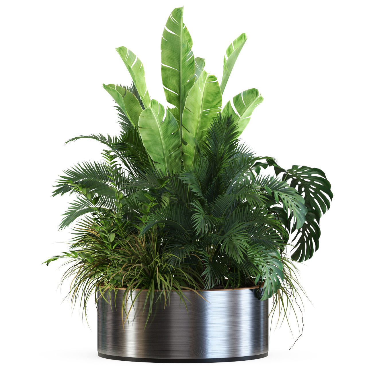 Plants collection 546 3D model_1