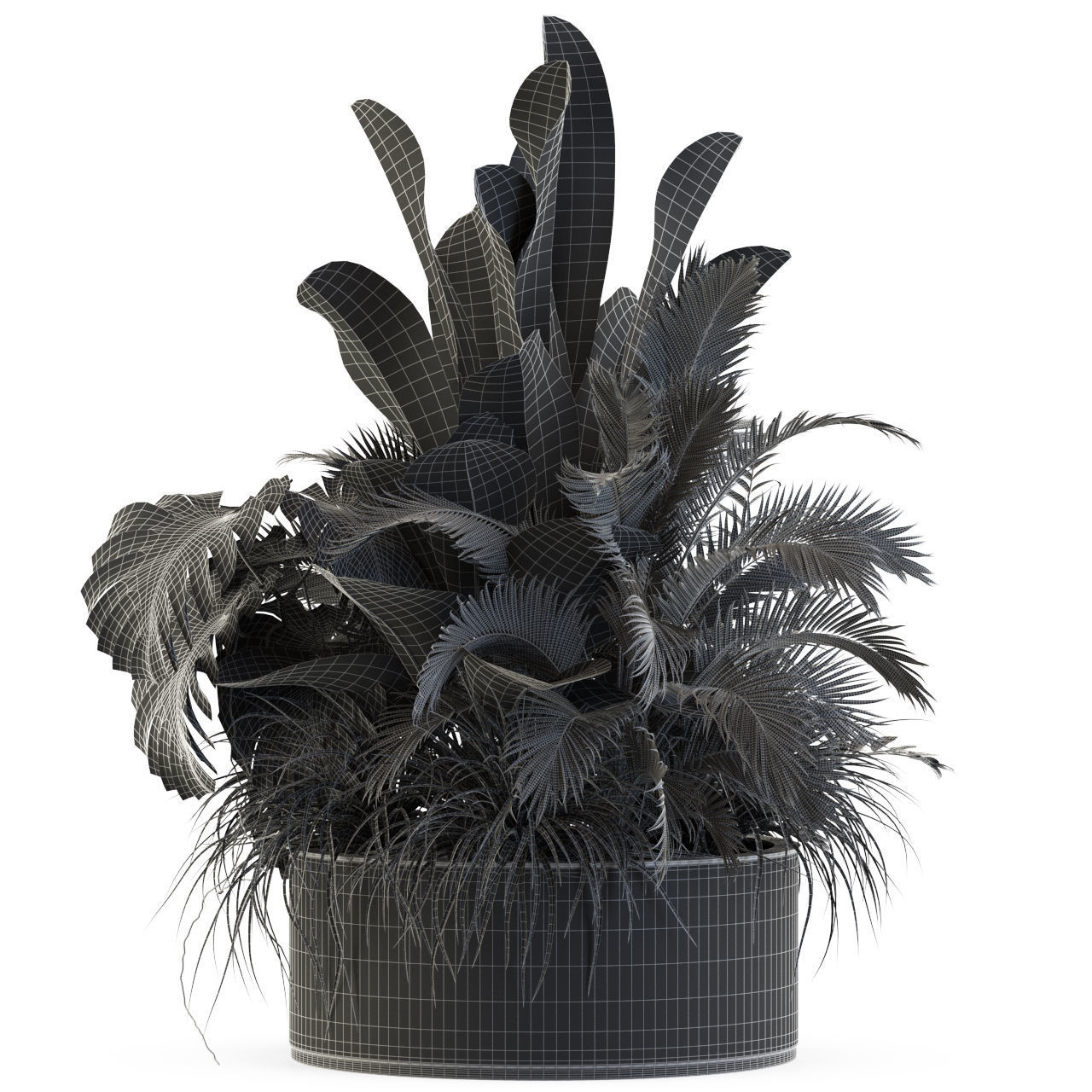 Plants collection 546 3D model_4