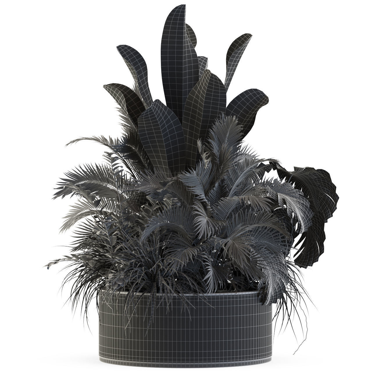 Plants collection 546 3D model_3