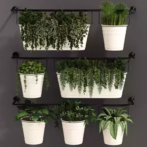 Indoor plant collection 05