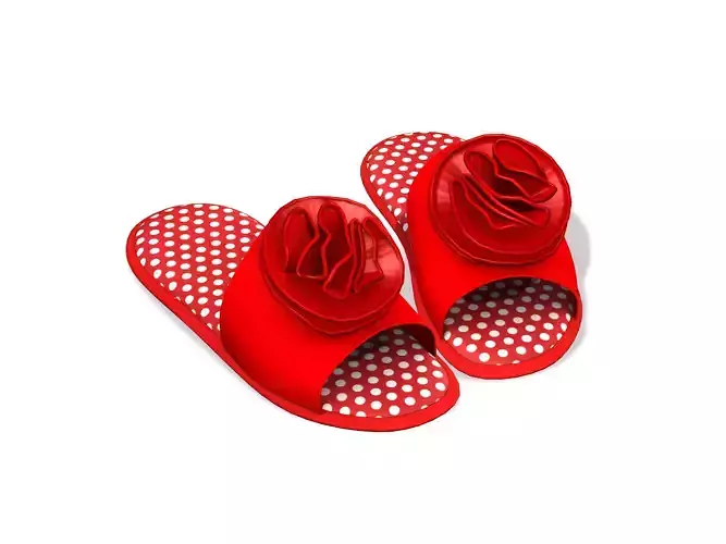 Rose Slippers