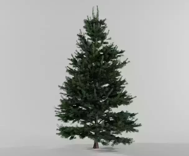 Christmas tree