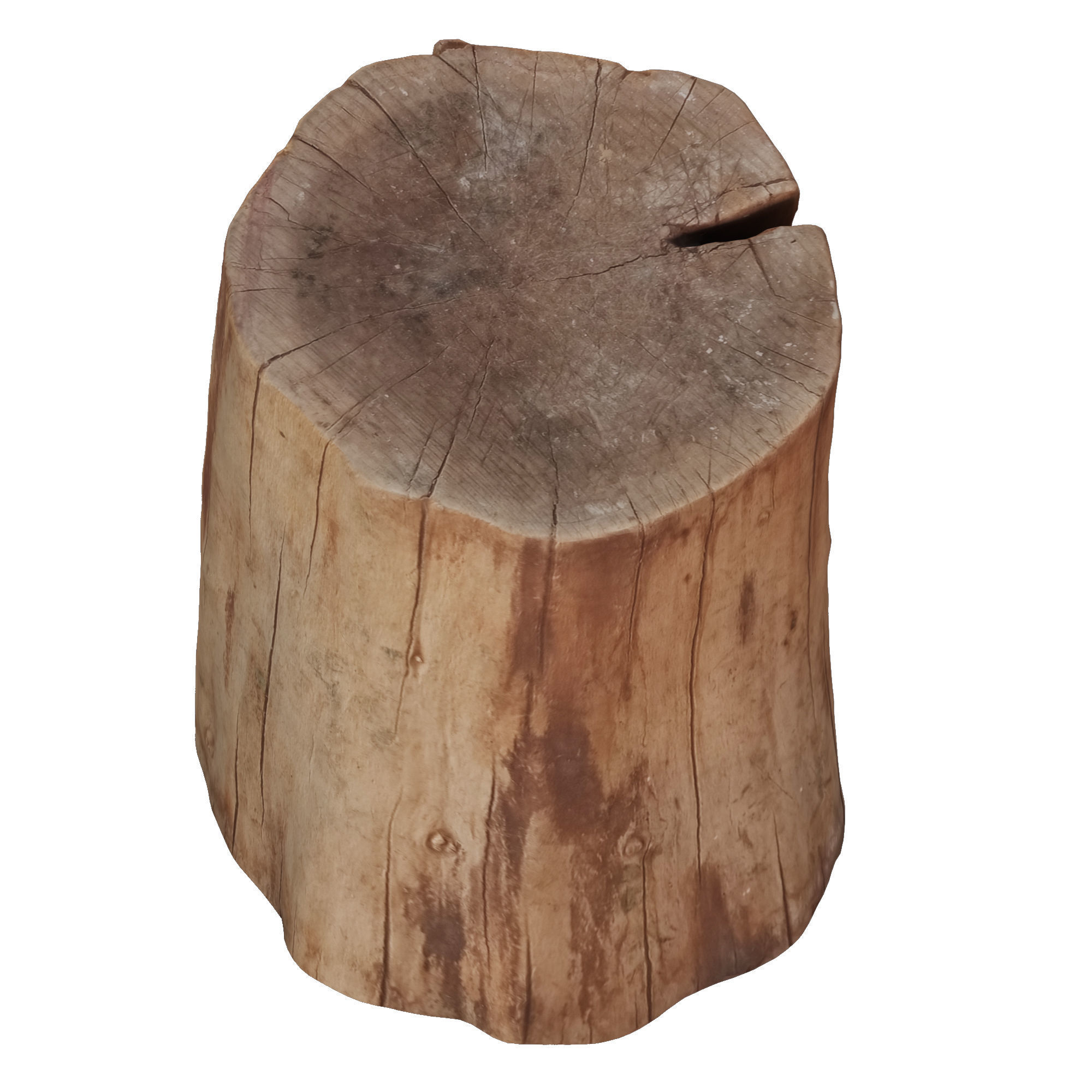 tree trunk 5 Low-poly 3D model_2