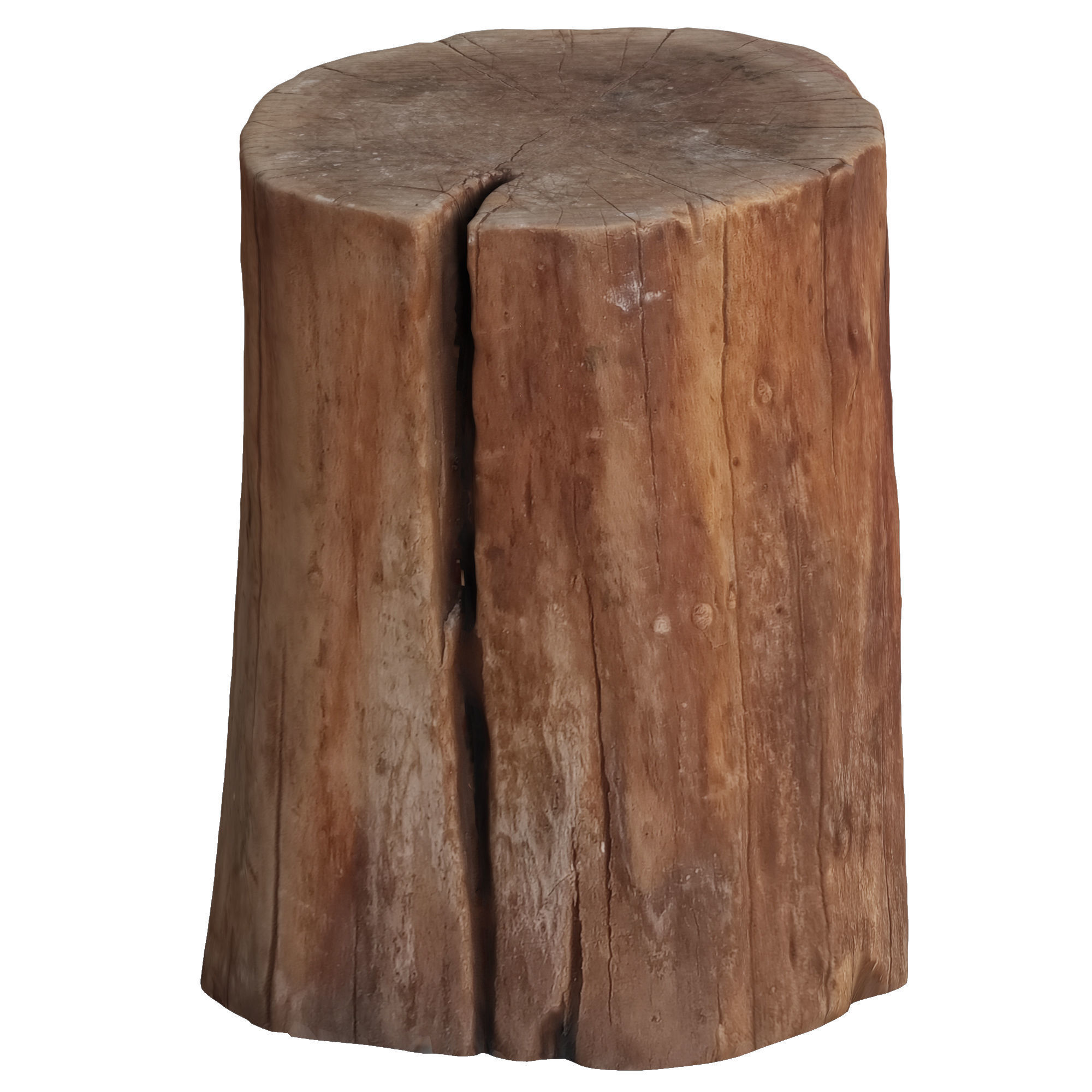 tree trunk 5 Low-poly 3D model_1