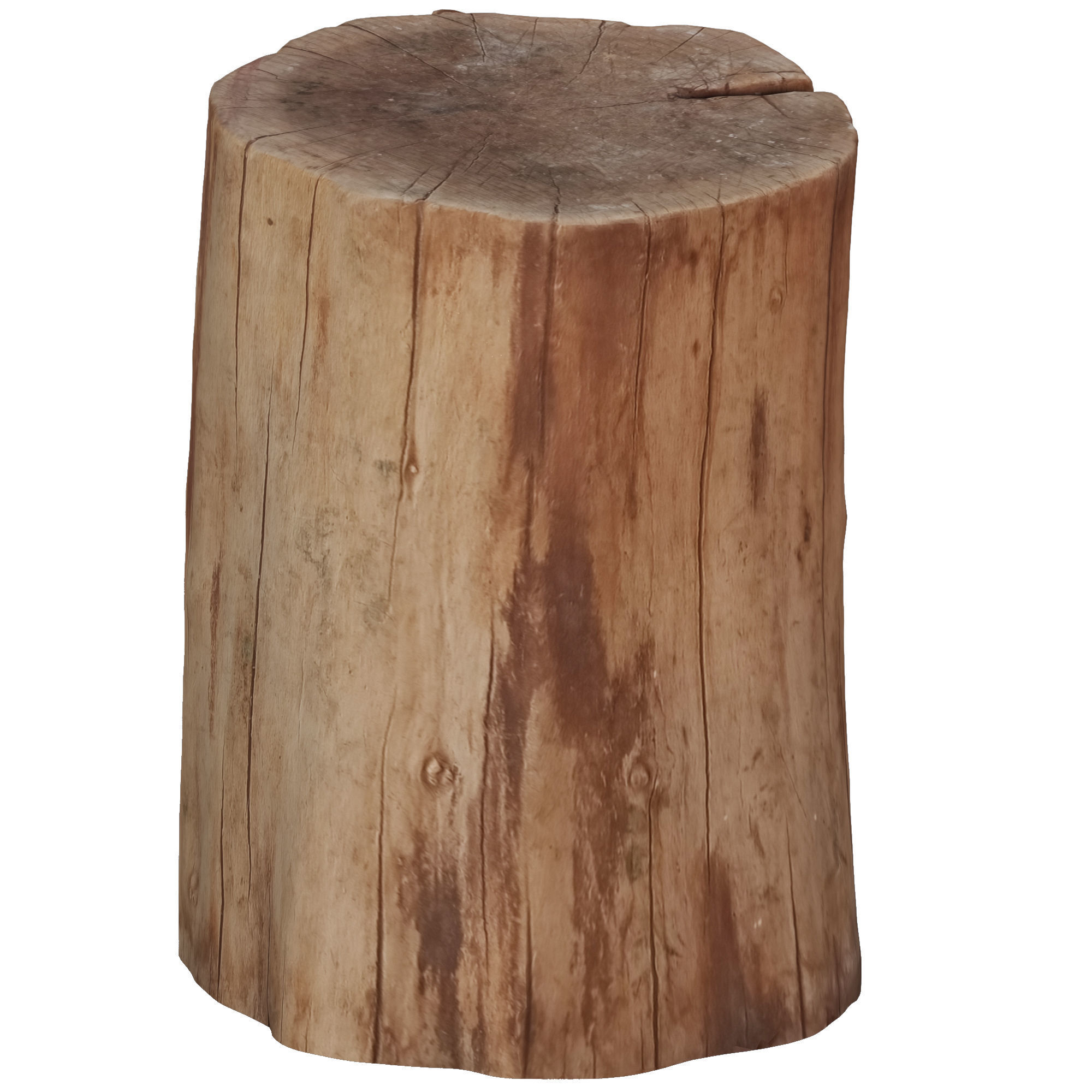 tree trunk 5 Low-poly 3D model_3