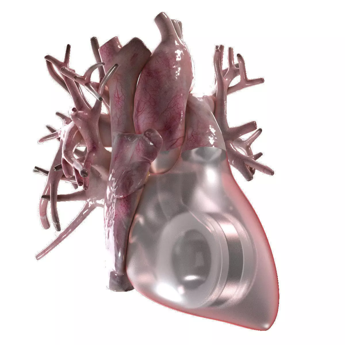 Artificial Human Heart Beating 3D model_0