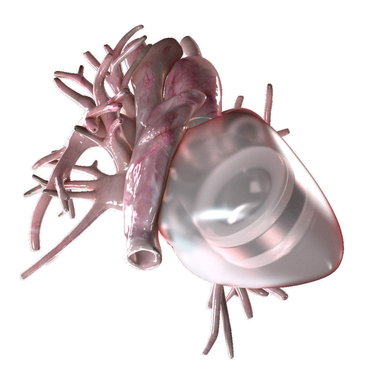 Artificial Human Heart Beating 3D model_1