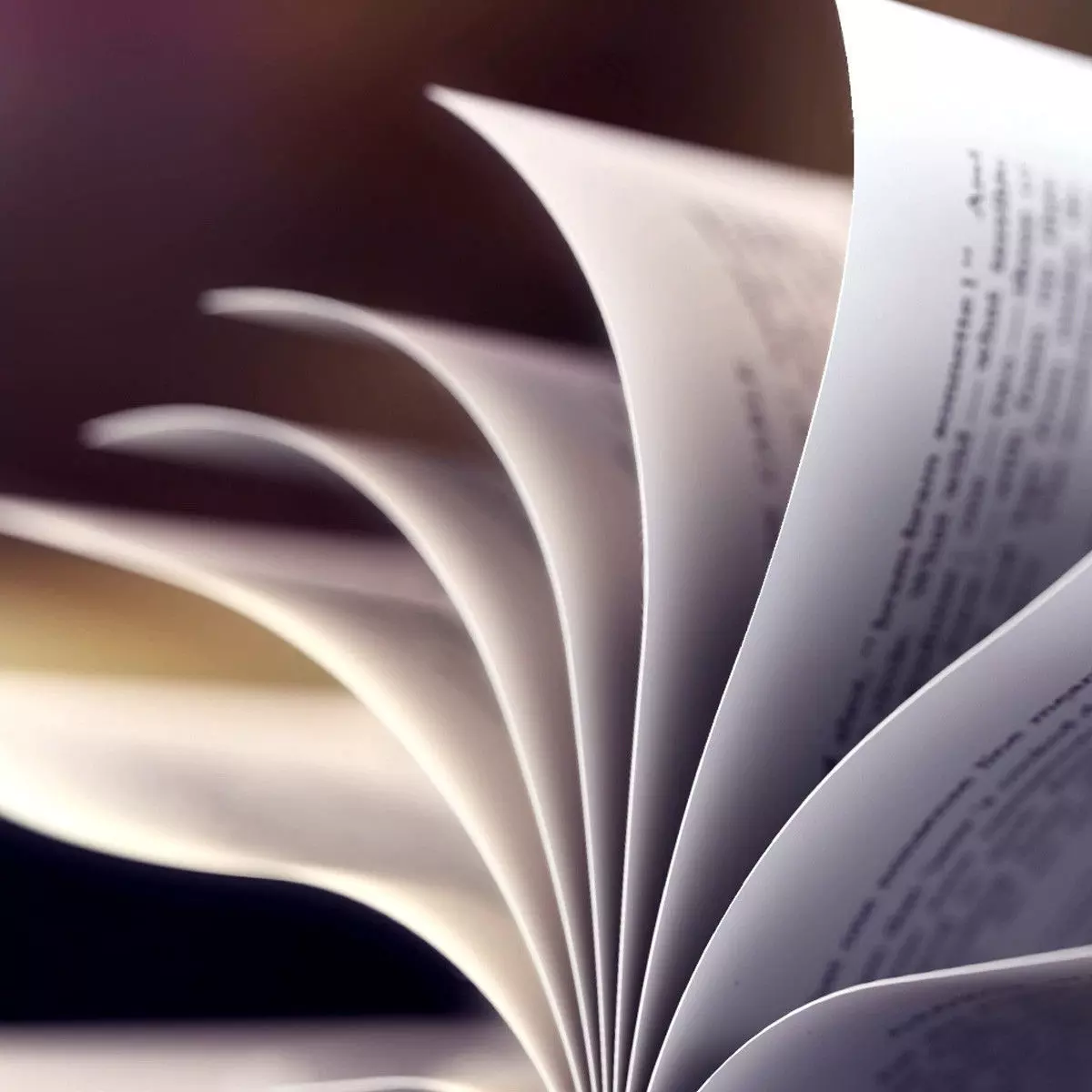 Book Animated leaves Loopable 3D model