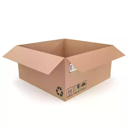 Cardboard box 20