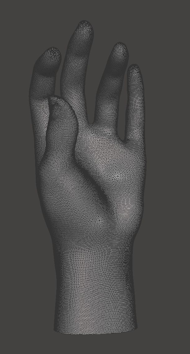 hand sculpture or display 3D print model_6