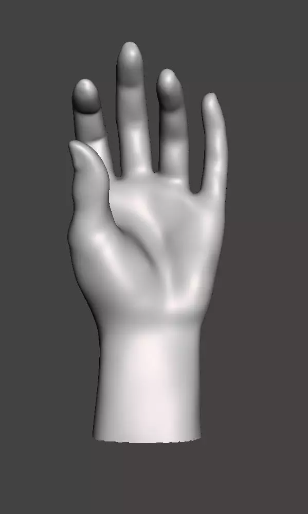 hand sculpture or display 3D print model_0