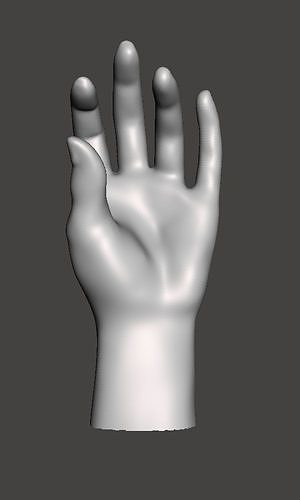 hand sculpture or display 3D print model