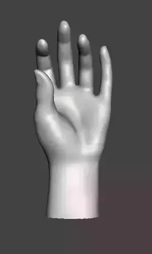 hand sculpture or display 3D print model