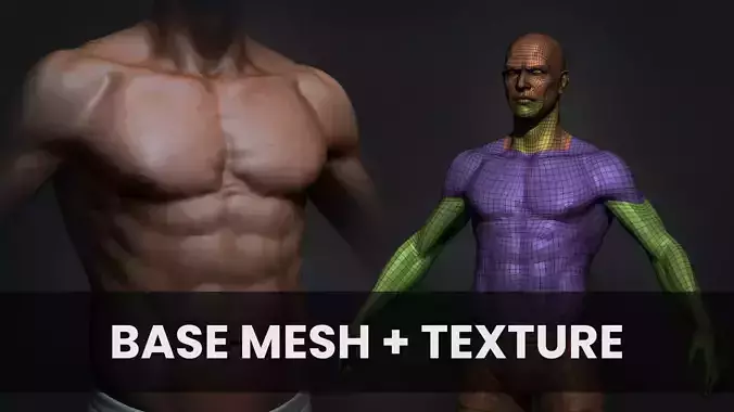 REALISTIC MALE BASE MESH